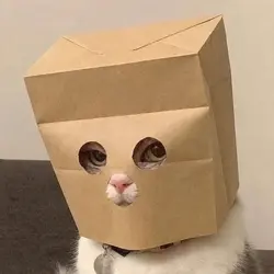 Anonymous Cat